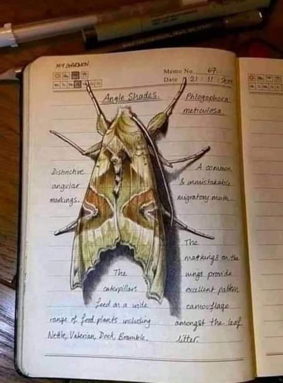 ���� ���� ������ �� ���� ������