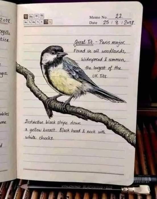 ���� ���� ������ �� ���� ������