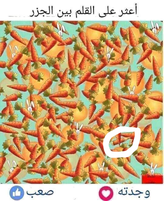 ���� ���� ������ �� ���� ������