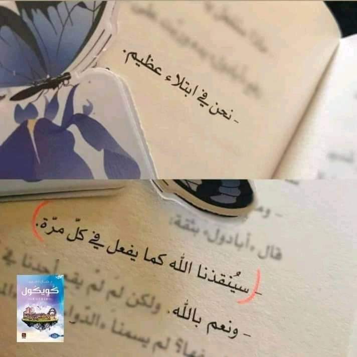 ���� ���� ������ �� ���� ������