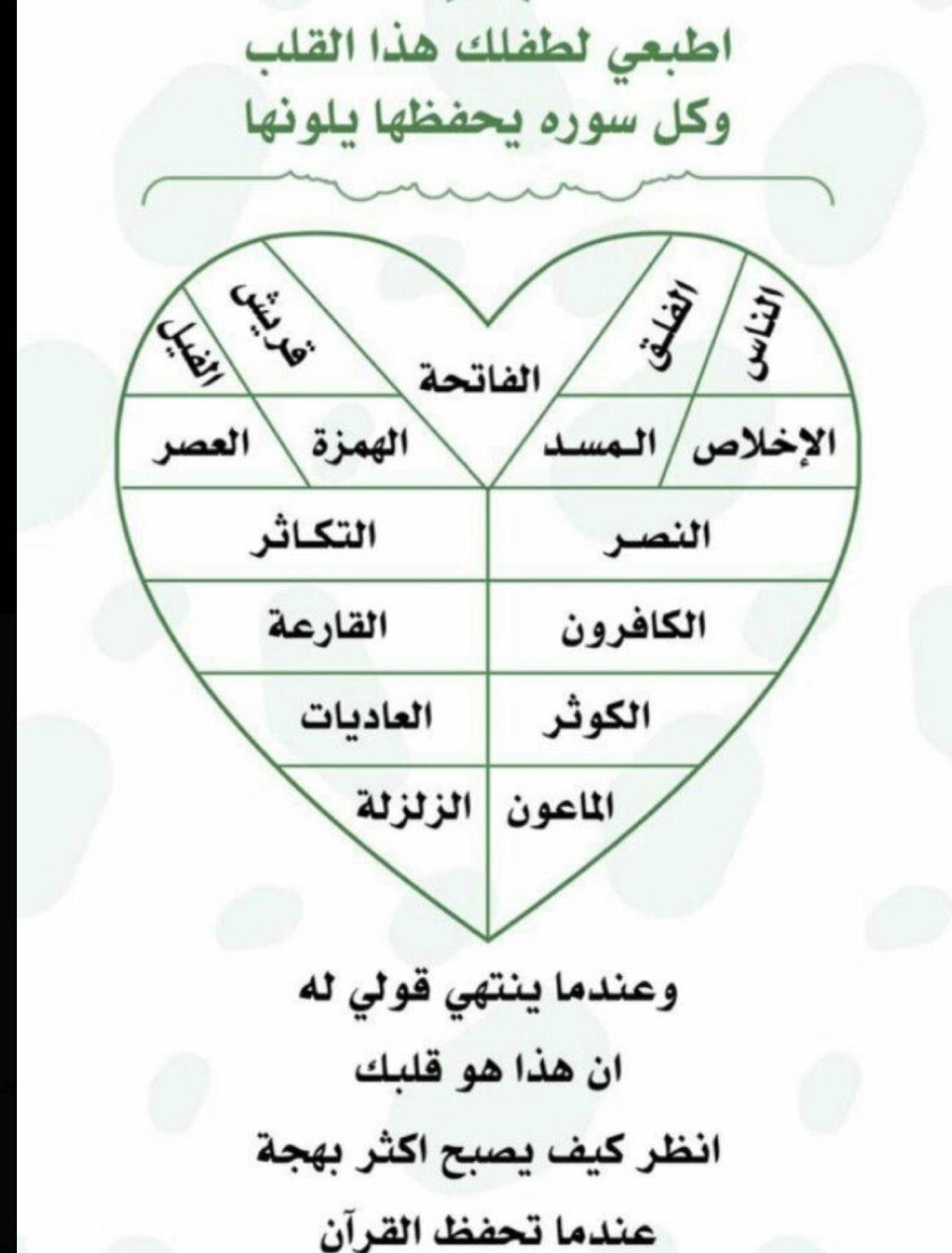 bntpal.com_164973620