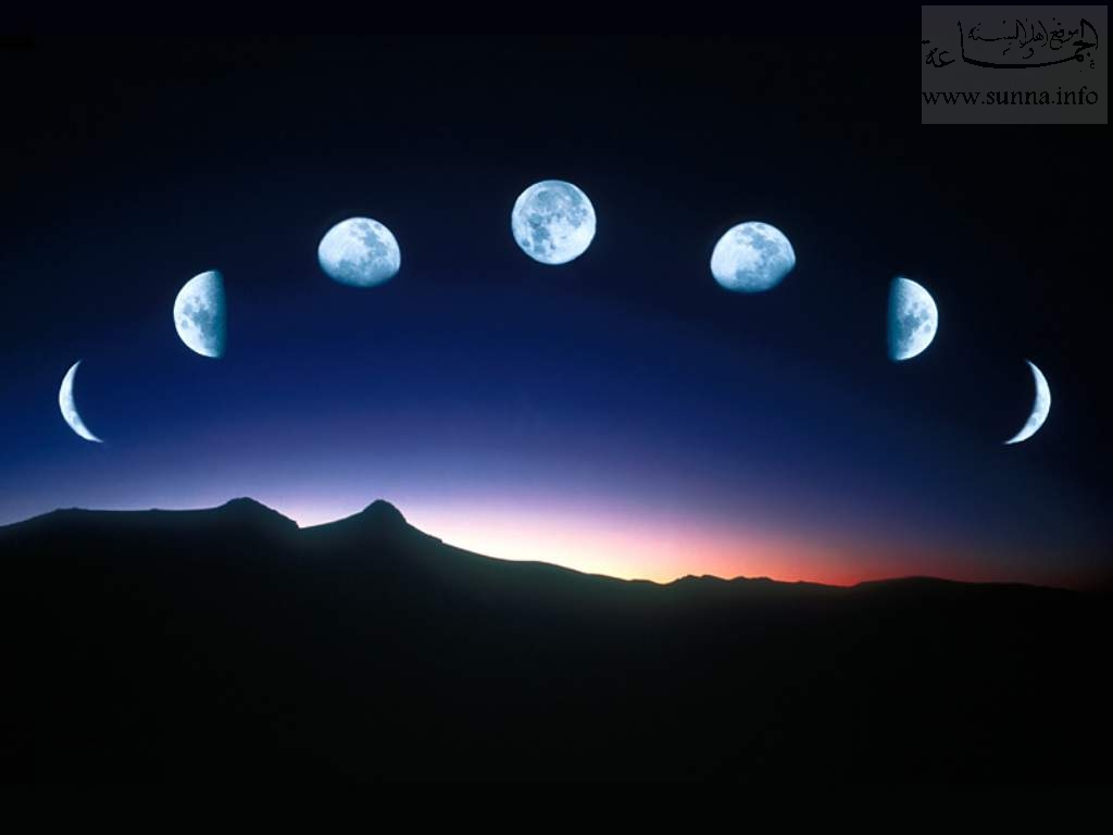 🌙🌙🌞 bntpal.com_164976123