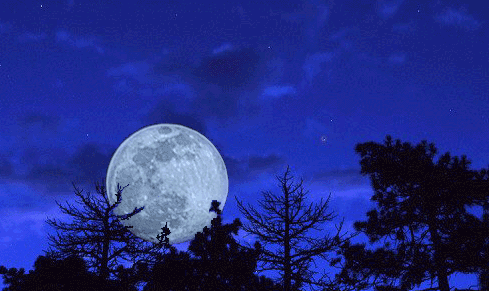 🌙🌙🌞 bntpal.com_164976123