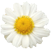  bntpal.com_164976208