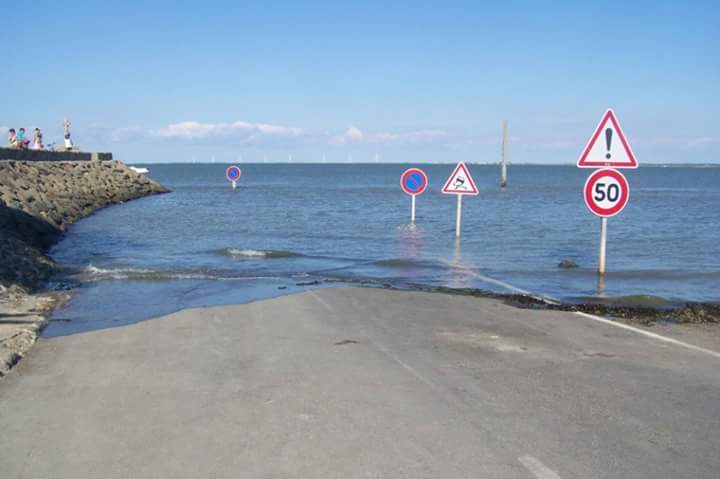 bntpal.com_164996439