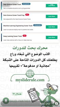  bntpal.com_165529074