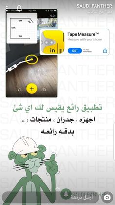  bntpal.com_165529074