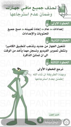  bntpal.com_165529074
