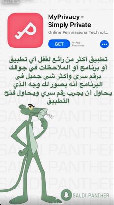  bntpal.com_165529074