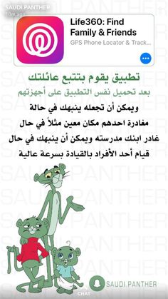  bntpal.com_165529074