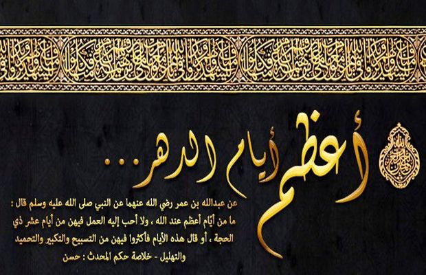 ♥♥   bntpal.com_165654465