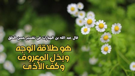  bntpal.com_165676477