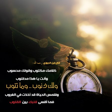 bntpal.com_165676477