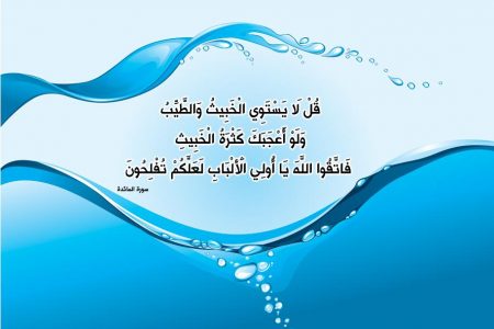  bntpal.com_165676477
