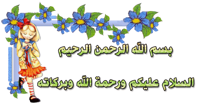  bntpal.com_165679698