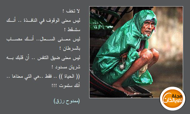 bntpal.com_165709907