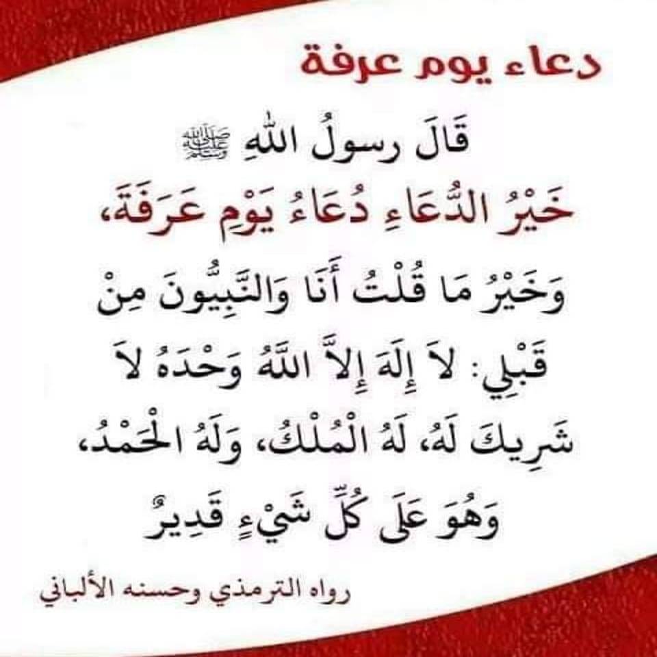 ❤ bntpal.com_165726887