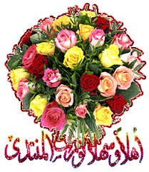 bntpal.com_165813739