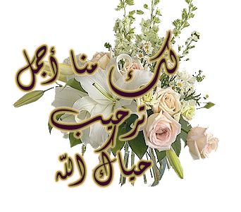 bntpal.com_165813739