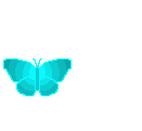bntpal.com_165857712