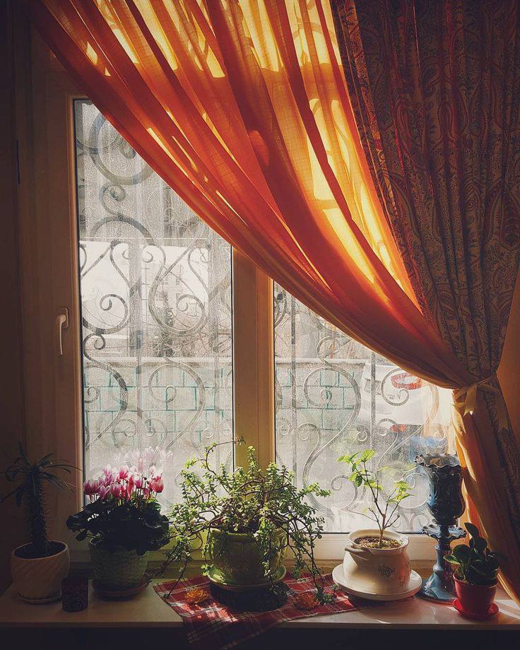 ���� ���� ������ �� ���� ������