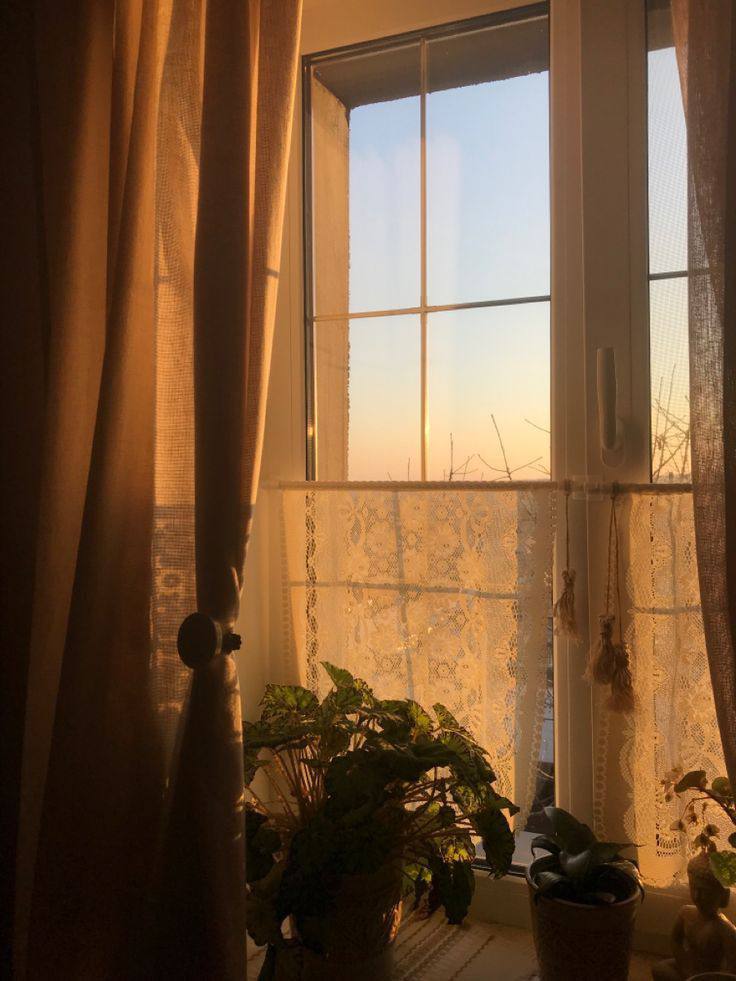 ���� ���� ������ �� ���� ������