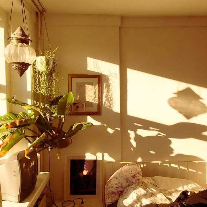 ���� ���� ������ �� ���� ������