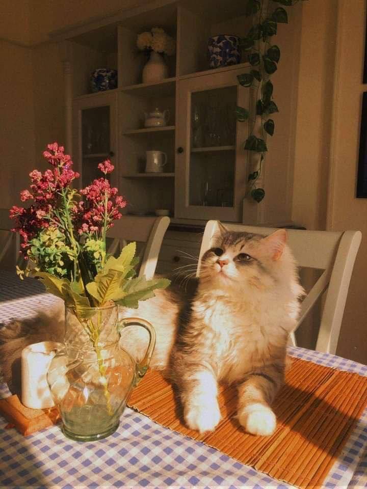 ���� ���� ������ �� ���� ������