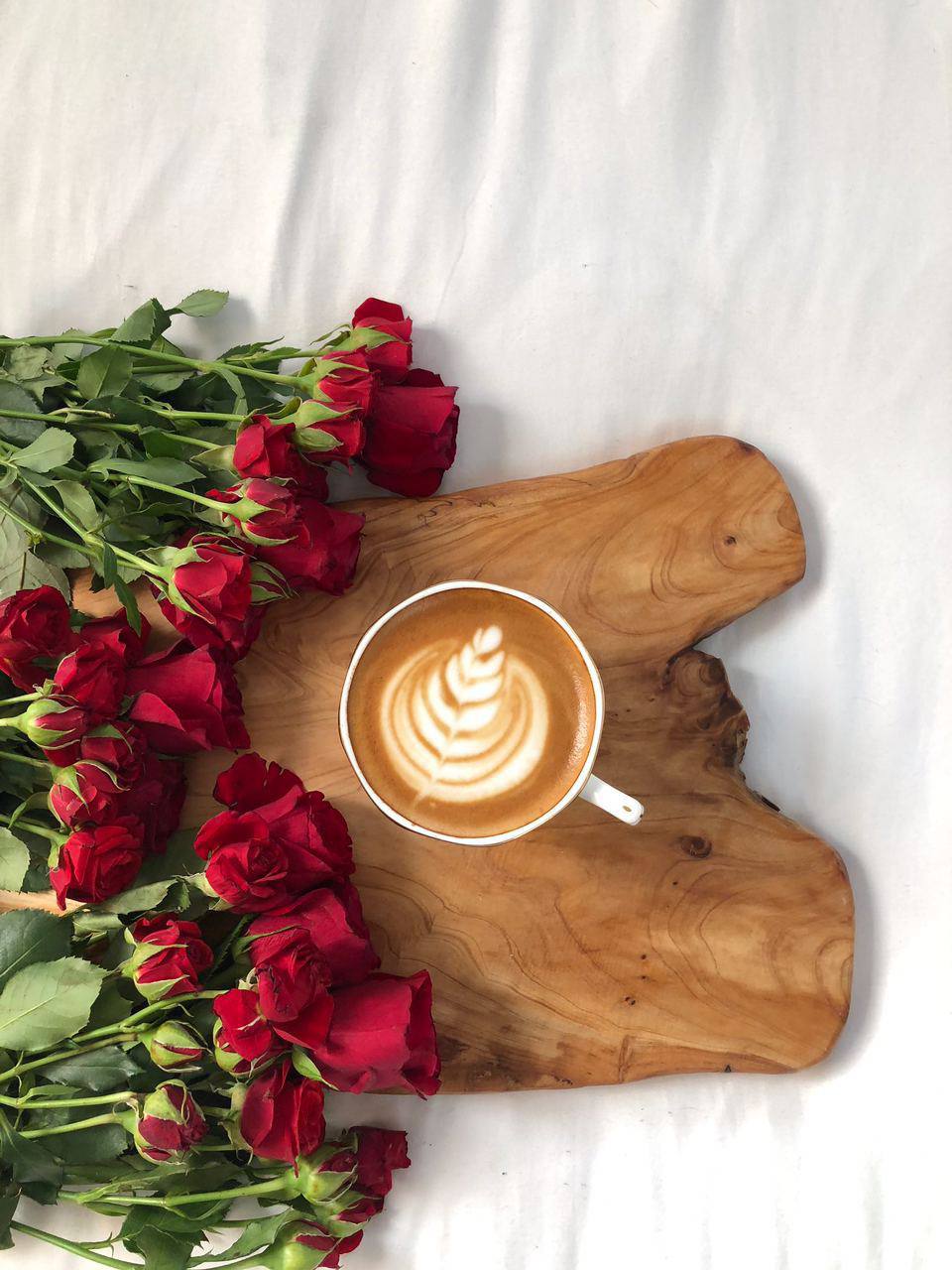 ���� ���� ������ �� ���� ������