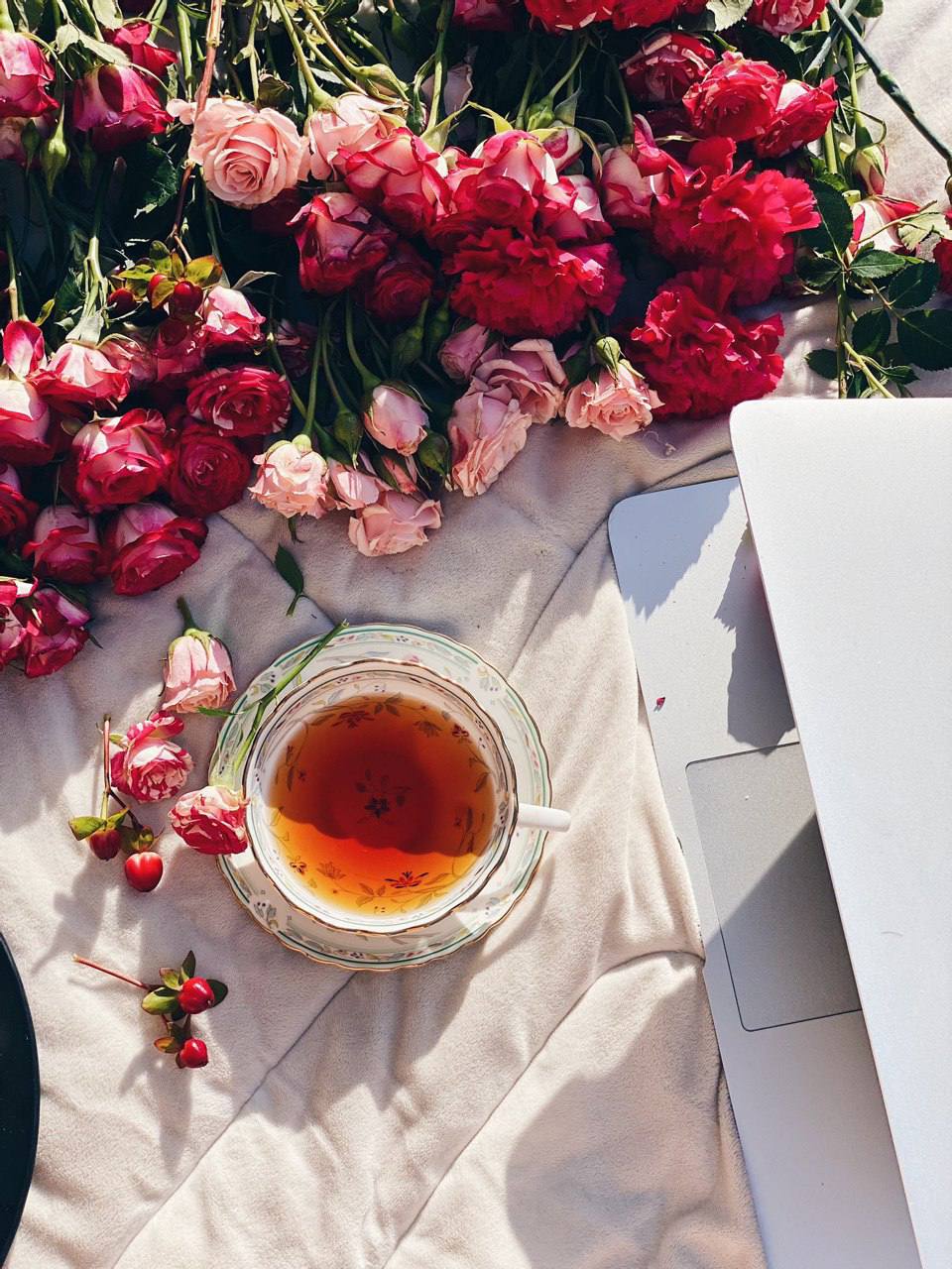 ���� ���� ������ �� ���� ������