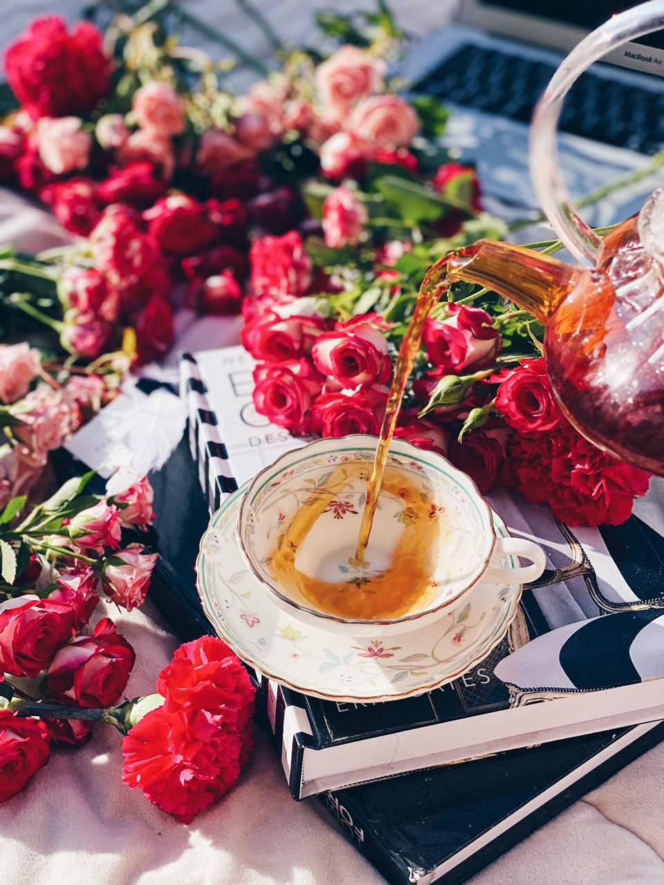 ���� ���� ������ �� ���� ������