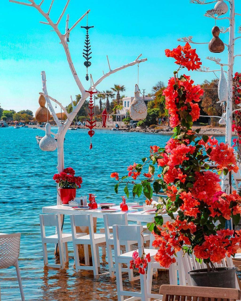 ���� ���� ������ �� ���� ������