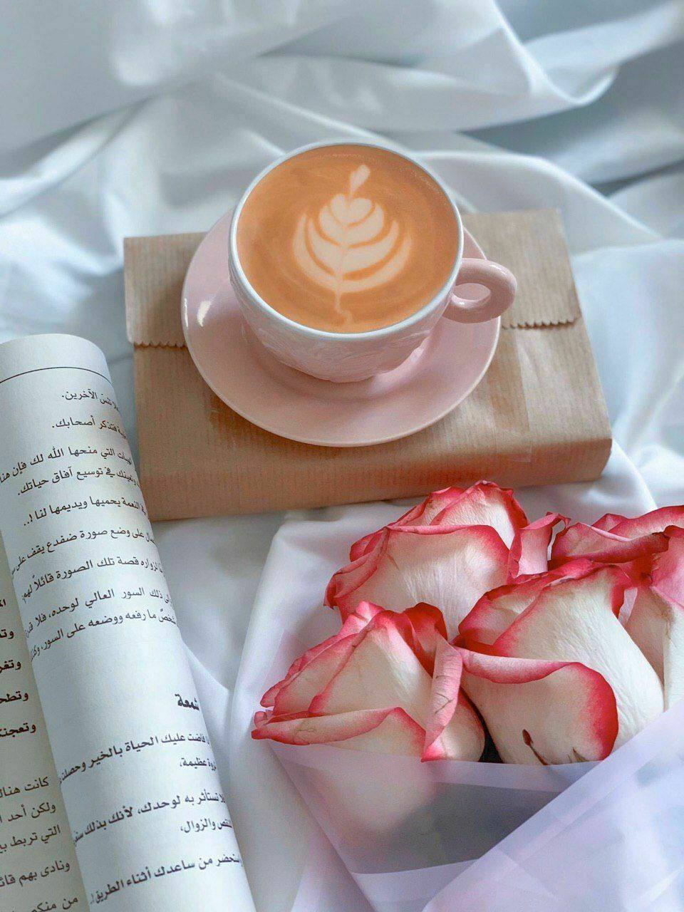 ���� ���� ������ �� ���� ������