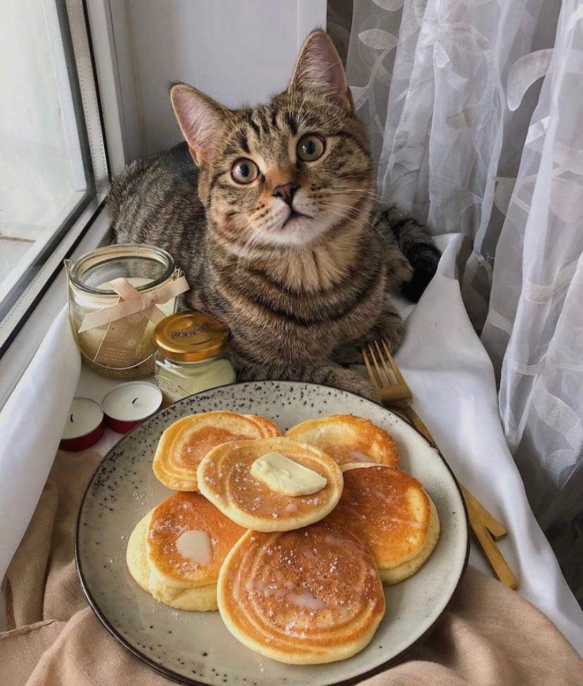 ���� ���� ������ �� ���� ������