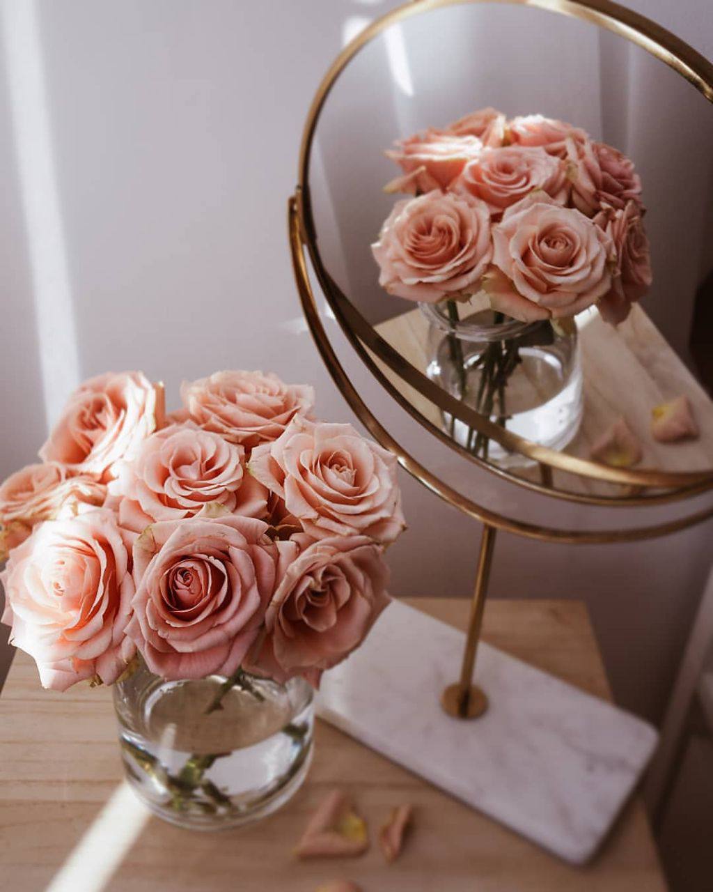 ���� ���� ������ �� ���� ������