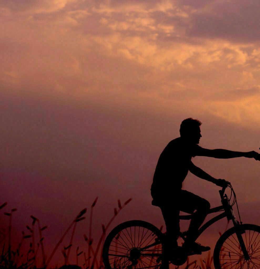 ���� ���� ������ �� ���� ������