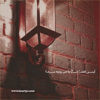 ���� ���� ������ �� ���� ������