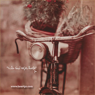 ���� ���� ������ �� ���� ������