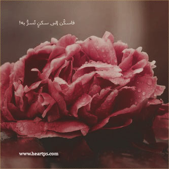 ���� ���� ������ �� ���� ������