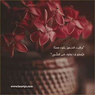 ���� ���� ������ �� ���� ������