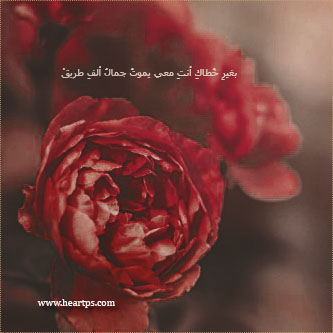 ���� ���� ������ �� ���� ������