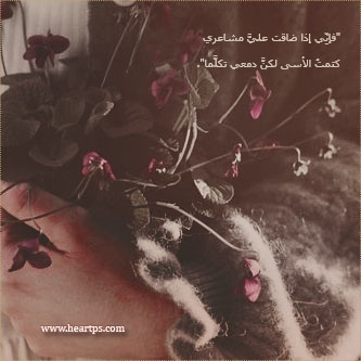 ���� ���� ������ �� ���� ������