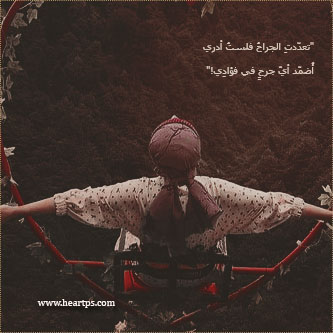 ���� ���� ������ �� ���� ������