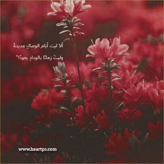 ���� ���� ������ �� ���� ������