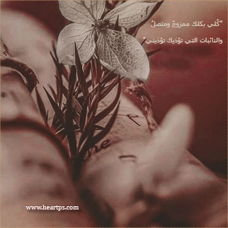 ���� ���� ������ �� ���� ������