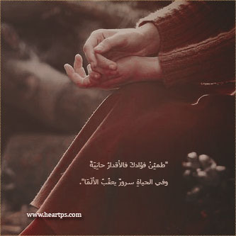 ���� ���� ������ �� ���� ������