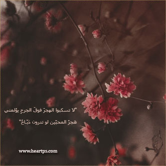 ���� ���� ������ �� ���� ������