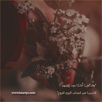 ���� ���� ������ �� ���� ������