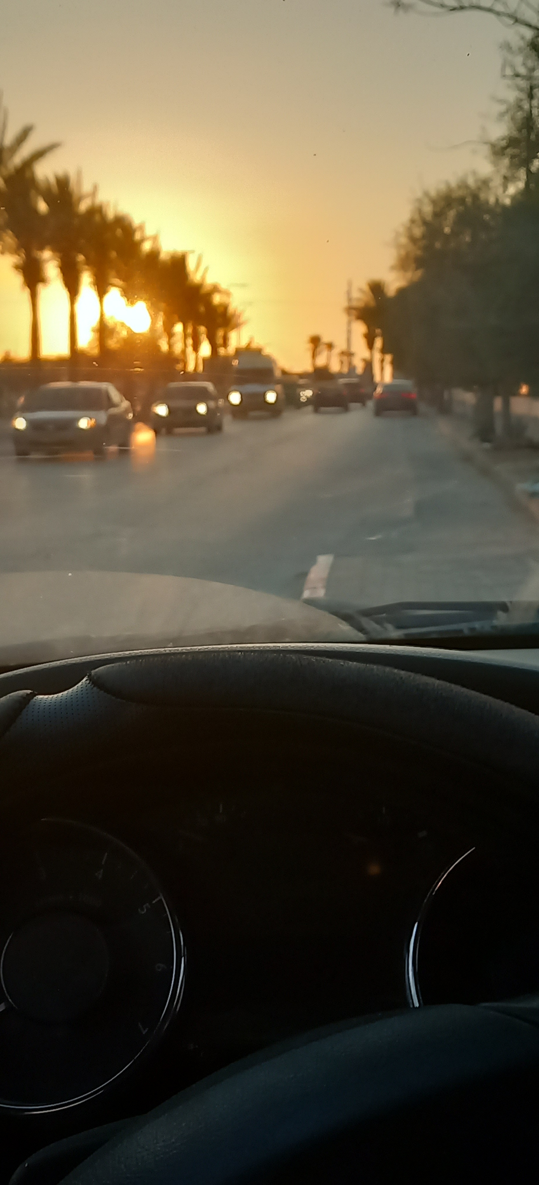 ���� ���� ������ �� ���� ������