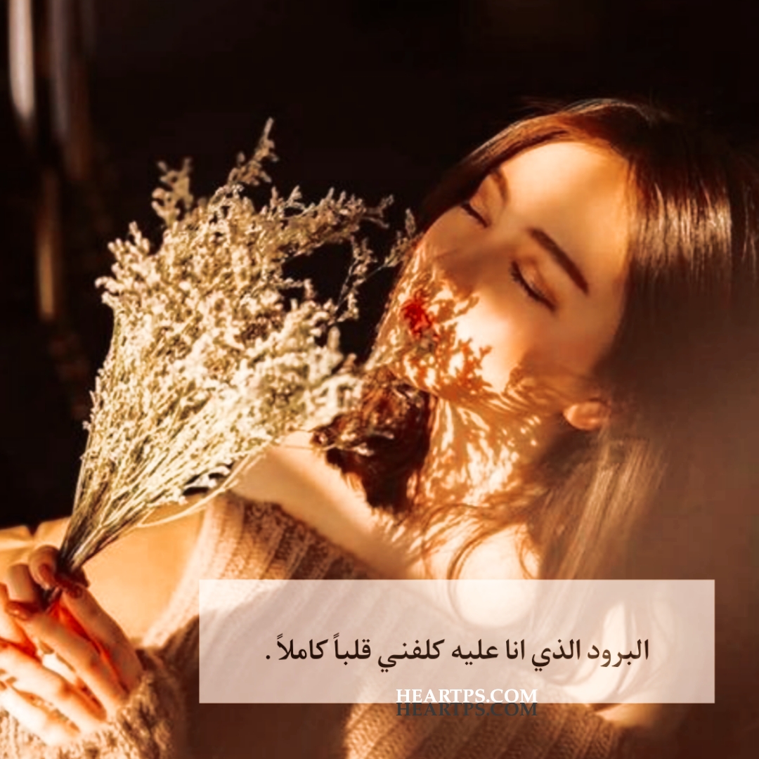 ���� ���� ������ �� ���� ������